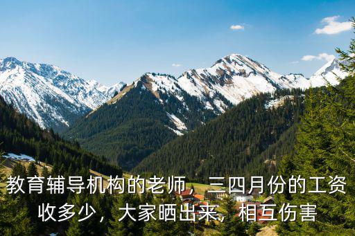 濟(jì)寧教育機(jī)構(gòu)輔導(dǎo)老師工資高多少,教育輔導(dǎo)機(jī)構(gòu)的老師