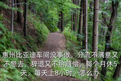 惠州比亞迪小時工多少錢一個小時,每天上8小時