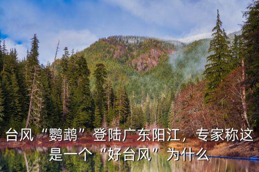 臺風“鸚鵡”登陸廣東陽江，專家稱這是一個“好臺風”為什么
