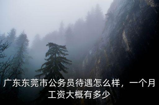 廣東公務員月薪大概多少,廣東東莞市公務員待遇怎么樣