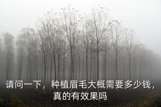 請(qǐng)問一下，種植眉毛大概需要多少錢，真的有效果嗎