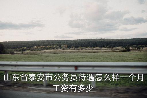 山東省泰安市公務員待遇怎么樣一個月工資有多少