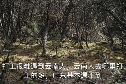 湛江市人去哪里打工最多,打工很難遇到云南人