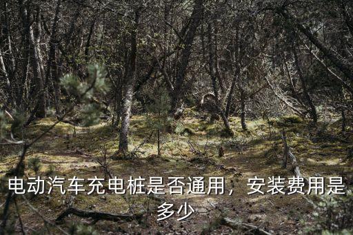 青島裝充電樁多少錢,電動汽車充電樁是否通用