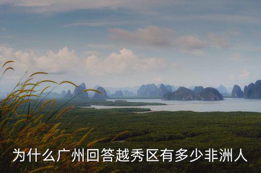 廣州老外有多少人,廣州有多少黑人