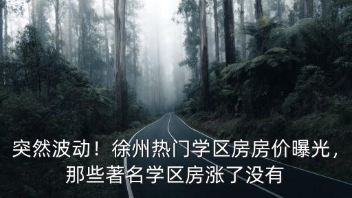 徐州名校學區房價多少,徐州熱門學區房房價曝光