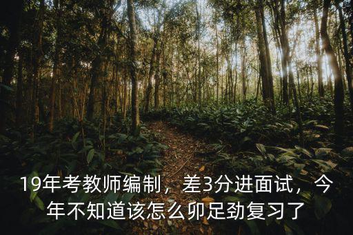 19年考教師編制，差3分進面試，今年不知道該怎么卯足勁復習了