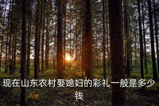 山東萊州市結婚彩禮多少錢,結婚一般給女方多少彩禮錢