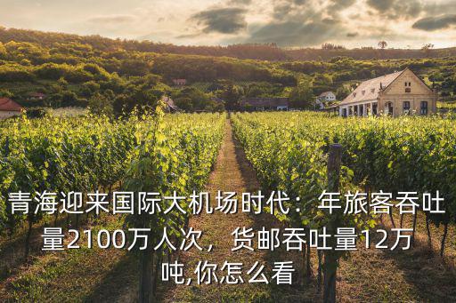 青海迎來國際大機場時代：年旅客吞吐量2100萬人次，貨郵吞吐量12萬噸,你怎么看