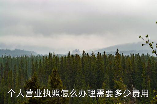 鹽城個人辦理營業執照多少錢,需要多少費用