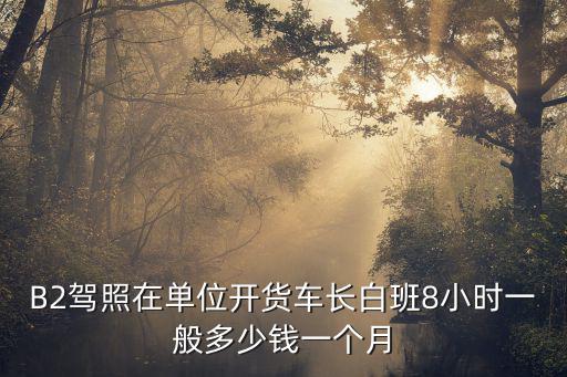 B2駕照在單位開貨車長白班8小時一般多少錢一個月