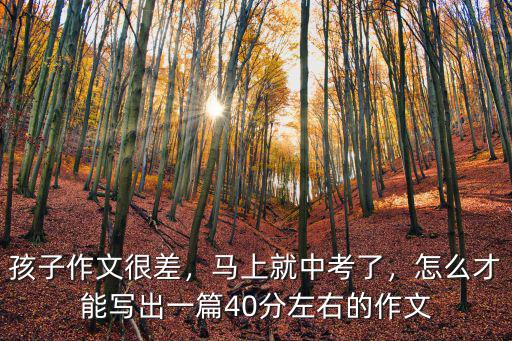 深圳中考作文怎么出分,深圳中考分?jǐn)?shù)怎么算