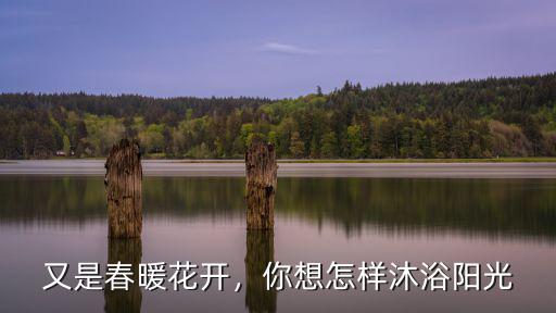 又是春暖花開，你想怎樣沐浴陽光