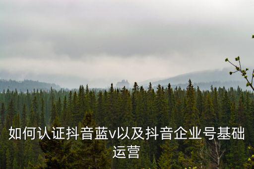 清遠怎么認證抖音藍v,抖音企業藍V如何申請認證