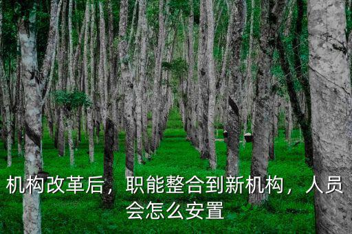 機構改革后，職能整合到新機構，人員會怎么安置
