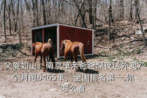 南京外賣(mài)每天能送多少單,送外賣(mài)真的能月入七八千么