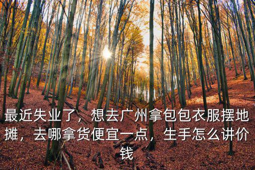 在廣州少女背包去哪里拿貨,想去廣州拿包包衣服擺地攤