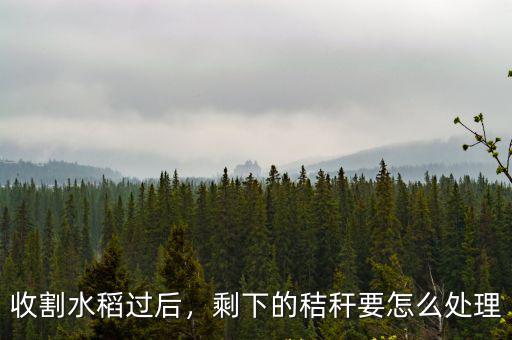 廣東省稻稈是怎么處理的,農(nóng)民都是怎么處理麥秸的呢