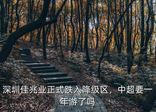 深圳佳兆業(yè)正式跌入降級(jí)區(qū)，中超要一年游了嗎
