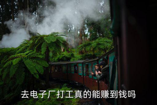 青島電子廠一月能賺多少錢,去電子廠打工真的能賺到錢嗎