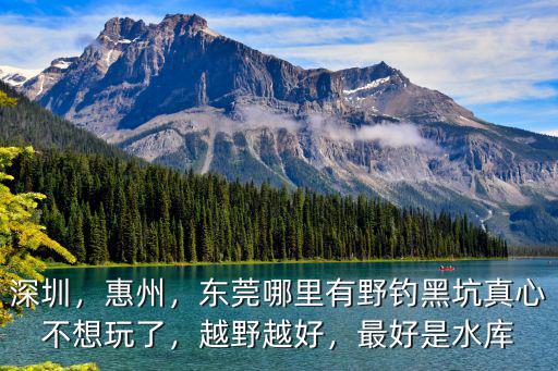 深圳，惠州，東莞哪里有野釣黑坑真心不想玩了，越野越好，最好是水庫