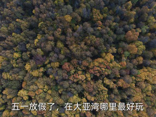 五一放假了，在大亞灣哪里最好玩