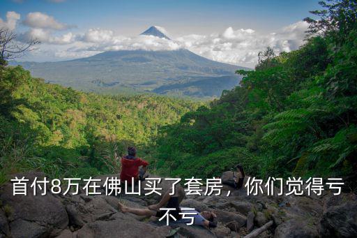 在佛山首付8萬月供多少,首付8萬在佛山買了套房