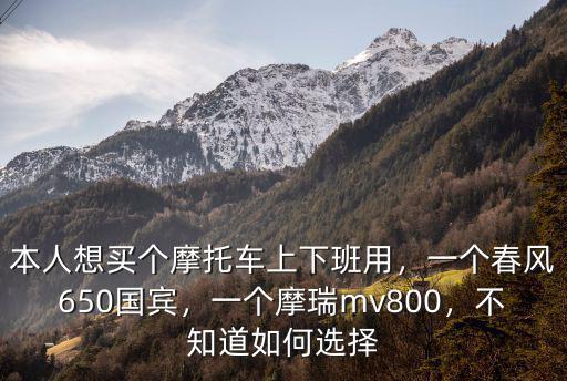 本人想買個摩托車上下班用，一個春風650國賓，一個摩瑞mv800，不知道如何選擇