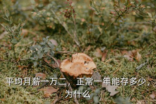 平均月薪一萬二，正常一年能存多少，為什么
