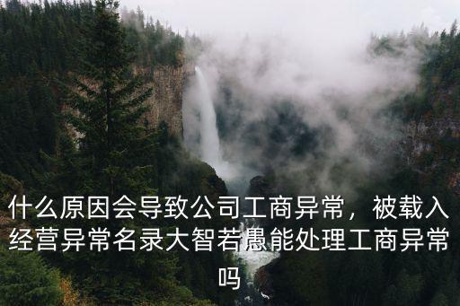 什么原因會導致公司工商異常，被載入經營異常名錄大智若愚能處理工商異常嗎