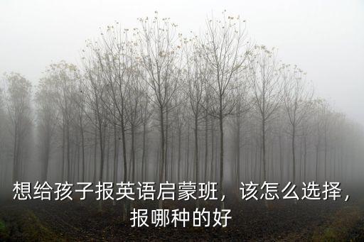 肇慶幼兒啟蒙學英語哪里好,想給孩子報英語啟蒙班