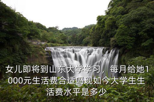 女兒即將到山東大學學習，每月給她1000元生活費合適嗎現如今大學生生活費水平是多少
