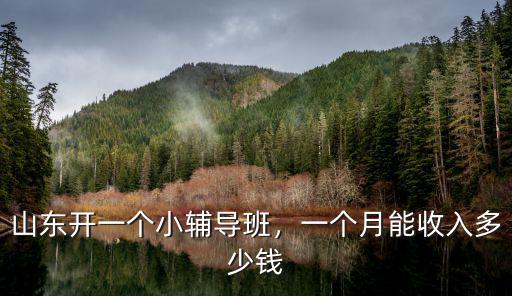 山東開(kāi)一個(gè)小輔導(dǎo)班，一個(gè)月能收入多少錢(qián)