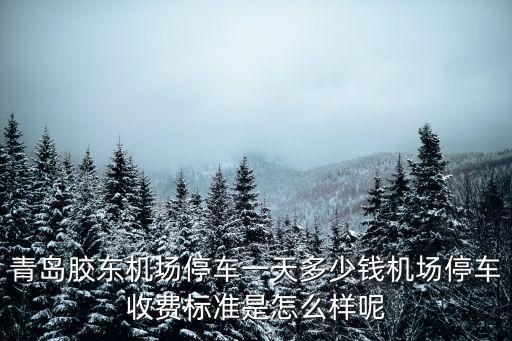 青島機(jī)場(chǎng)停車(chē)費(fèi)一晚多少錢(qián),機(jī)場(chǎng)停車(chē)收費(fèi)標(biāo)準(zhǔn)是怎么樣呢