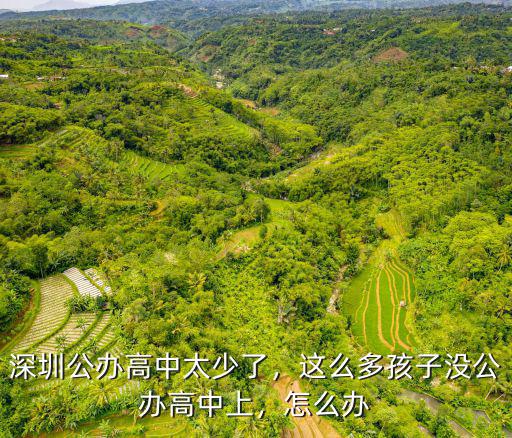 深圳公辦高中太少了，這么多孩子沒公辦高中上，怎么辦
