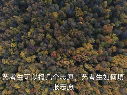 山東高考藝術生可以報多少個志愿,藝考生如何填報志愿
