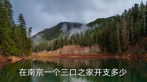 南京小資生活多少錢,什么樣的生活是小資生活