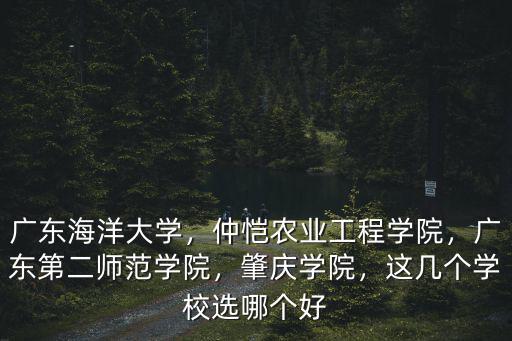 廣東海洋大學，仲愷農業工程學院，廣東第二師范學院，肇慶學院，這幾個學校選哪個好