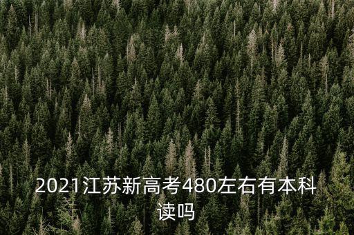 2021江蘇新高考480左右有本科讀嗎