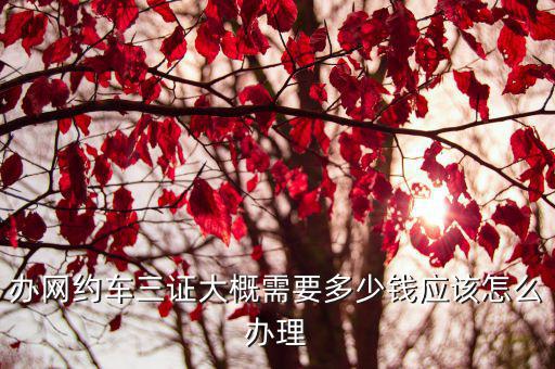 濰坊辦理網約車證多少錢,辦網約車三證大概需要多少錢