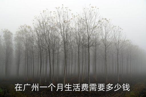 在廣州讀書一個月要花多少錢,在廣州做廣漂一族