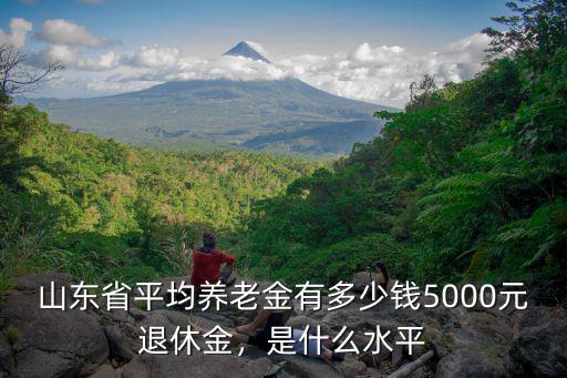 山東省直社保退休多少錢,山東省平均養老金有多少錢
