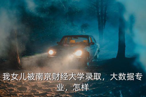 我女兒被南京財經大學錄取，大數據專業，怎樣
