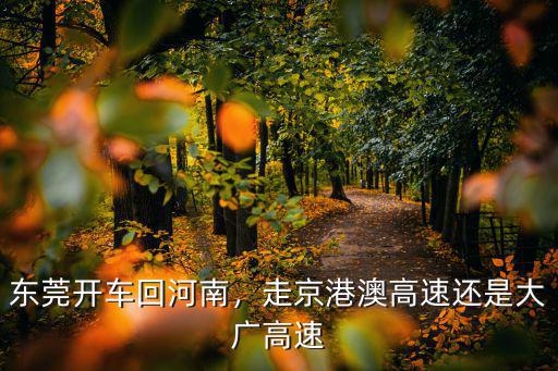 自駕廣東回河南哪里休息,廣州回河南鄭州
