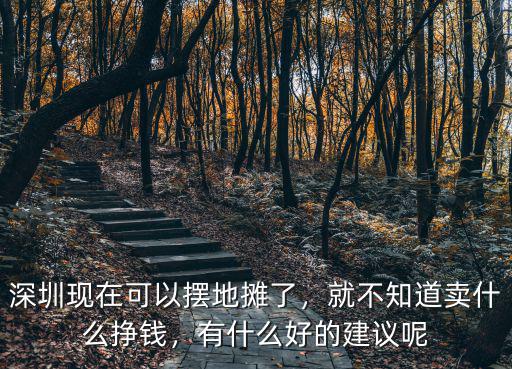 深圳現在可以擺地攤了，就不知道賣什么掙錢，有什么好的建議呢