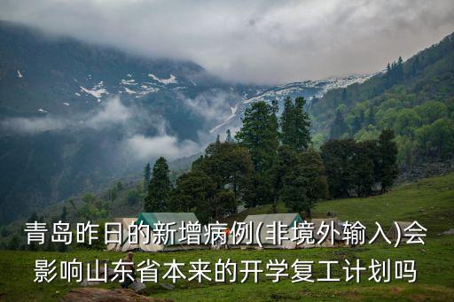 青島昨日的新增病例(非境外輸入)會影響山東省本來的開學復工計劃嗎