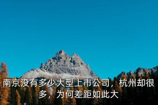 南京 上市公司多少家,南京沒有多少大型上市公司