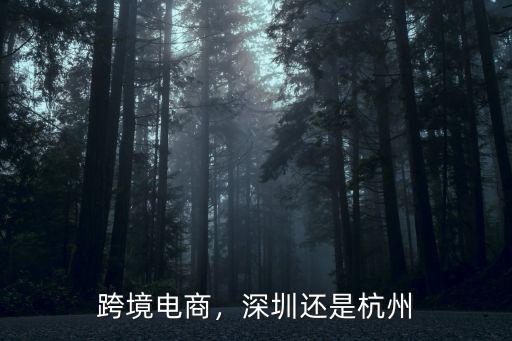 跨境電商，深圳還是杭州