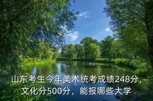 美術生多少分可報山東建筑大學,女兒是山東美術生