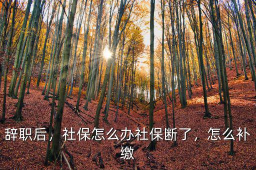 廣州離職了社保斷了怎么辦,曾經繳納廣州社保